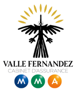 MMA VAlle Fernandez